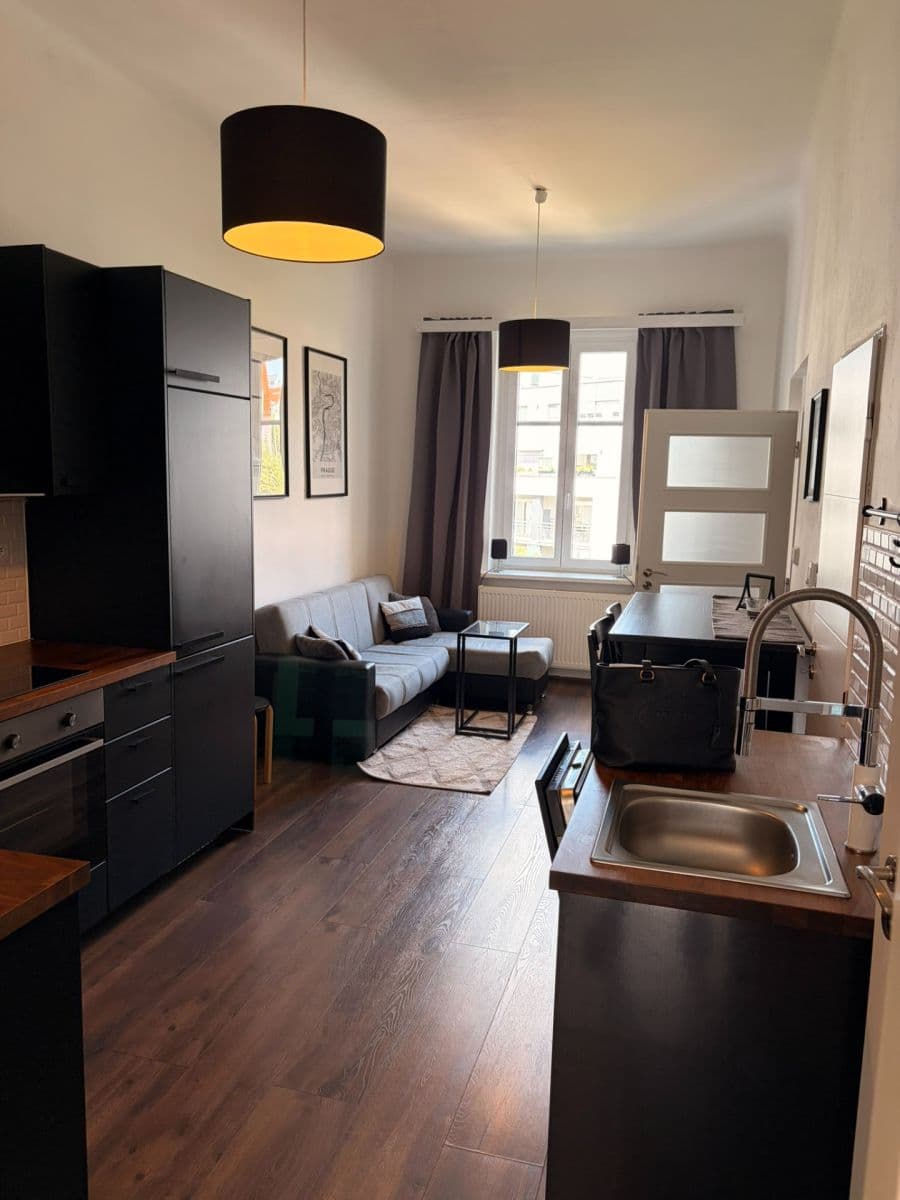 1 bedroom with open-plan kitchen flat for sale, 55 m², Na Břehu, Prague, Prague 1 bedroom with open-plan kitchen flat for sale, 55 m², Na Břehu, Prague, Prague
