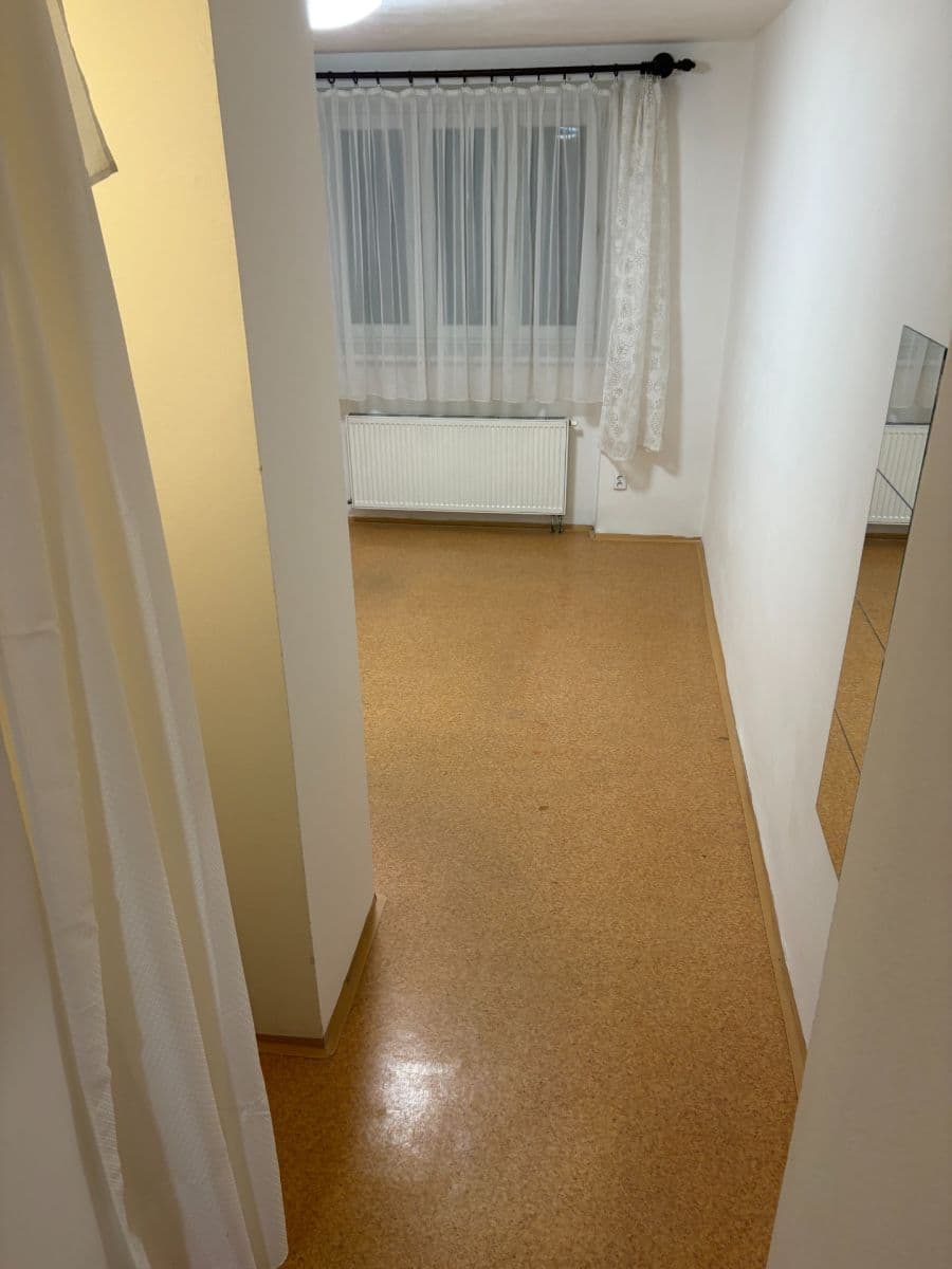 1 bedroom with open-plan kitchen flat to rent, 42 m², Purkyňova, Brno, Jihomoravský Region 1 bedroom with open-plan kitchen flat to rent, 42 m², Purkyňova, Brno, Jihomoravský Region