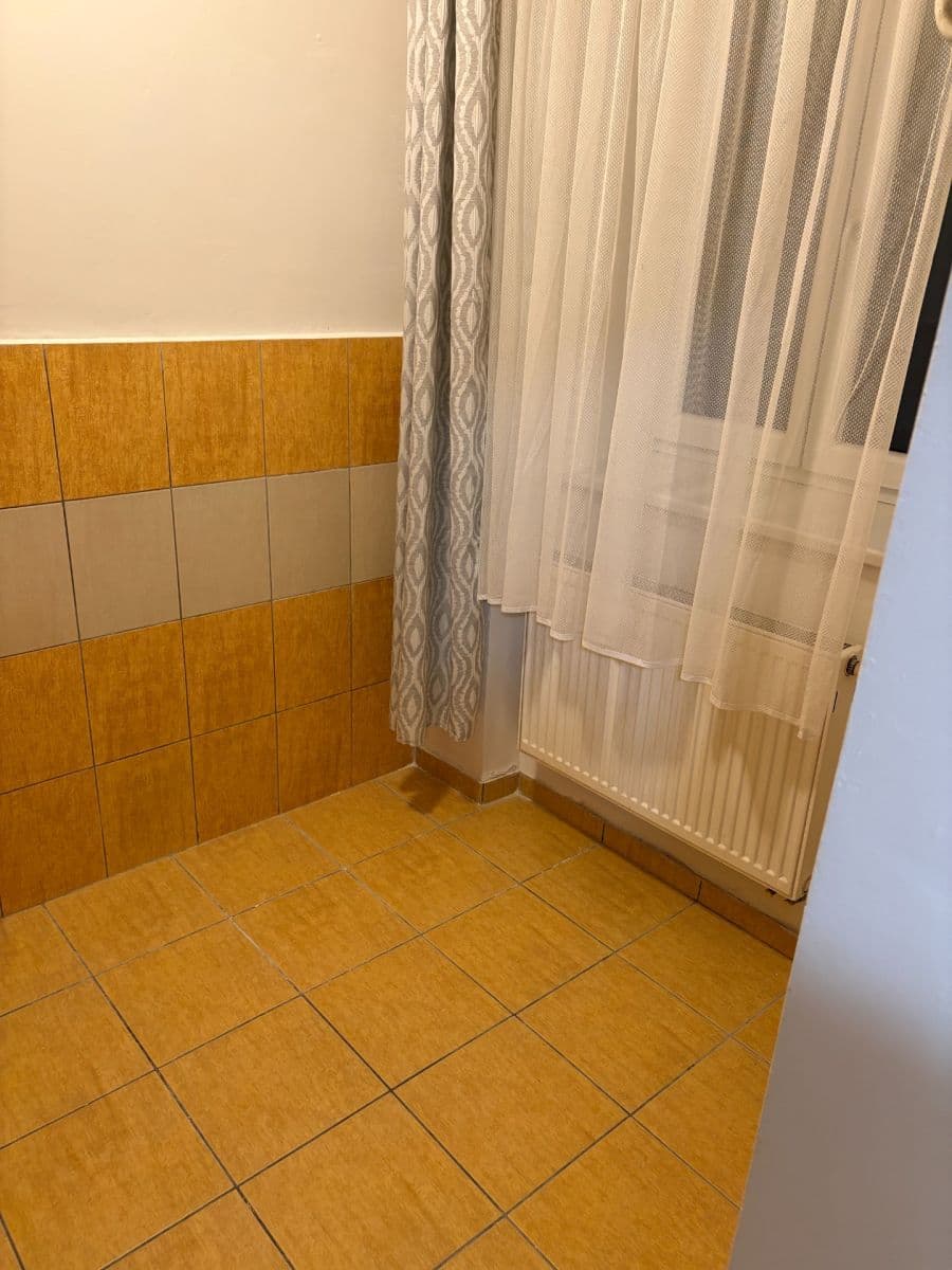 1 bedroom with open-plan kitchen flat to rent, 42 m², Purkyňova, Brno, Jihomoravský Region 1 bedroom with open-plan kitchen flat to rent, 42 m², Purkyňova, Brno, Jihomoravský Region