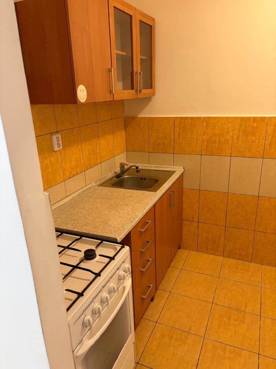 1 bedroom with open-plan kitchen flat to rent, 42 m², Purkyňova, Brno, Jihomoravský Region 1 bedroom with open-plan kitchen flat to rent, 42 m², Purkyňova, Brno, Jihomoravský Region