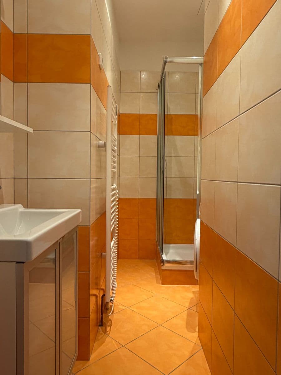 1 bedroom with open-plan kitchen flat to rent, 44 m², Košická, Prague, Prague 1 bedroom with open-plan kitchen flat to rent, 44 m², Košická, Prague, Prague
