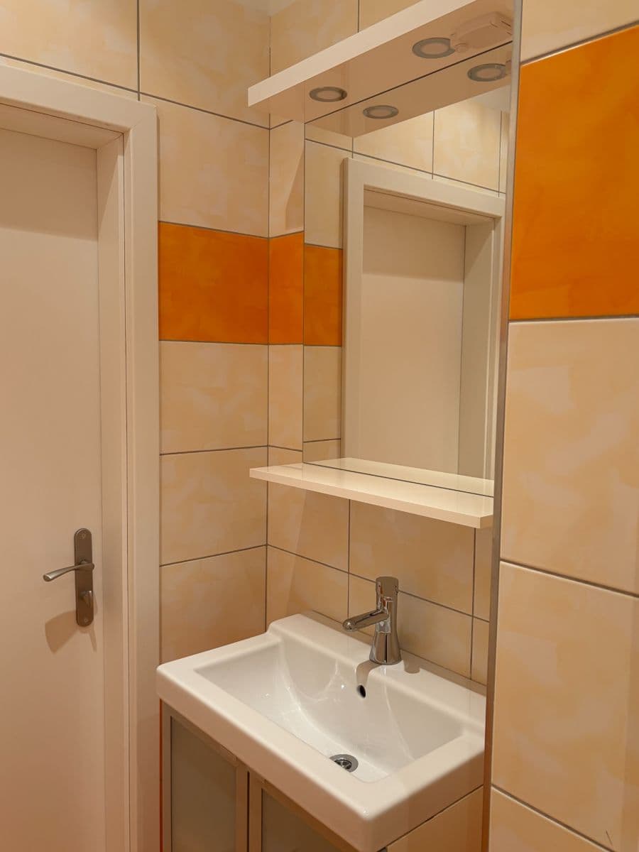 1 bedroom with open-plan kitchen flat to rent, 44 m², Košická, Prague, Prague 1 bedroom with open-plan kitchen flat to rent, 44 m², Košická, Prague, Prague