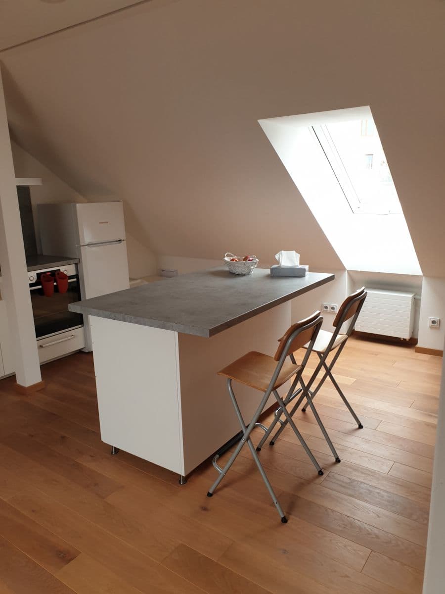 1 bedroom with open-plan kitchen flat to rent, 72 m², Rektorská, Prague, Prague 1 bedroom with open-plan kitchen flat to rent, 72 m², Rektorská, Prague, Prague