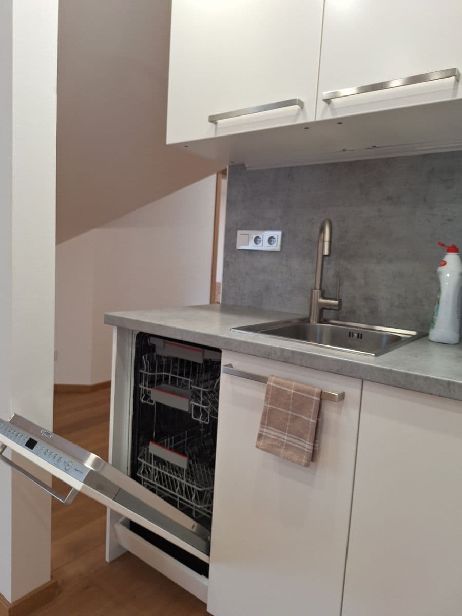1 bedroom with open-plan kitchen flat to rent, 72 m², Rektorská, Prague, Prague 1 bedroom with open-plan kitchen flat to rent, 72 m², Rektorská, Prague, Prague