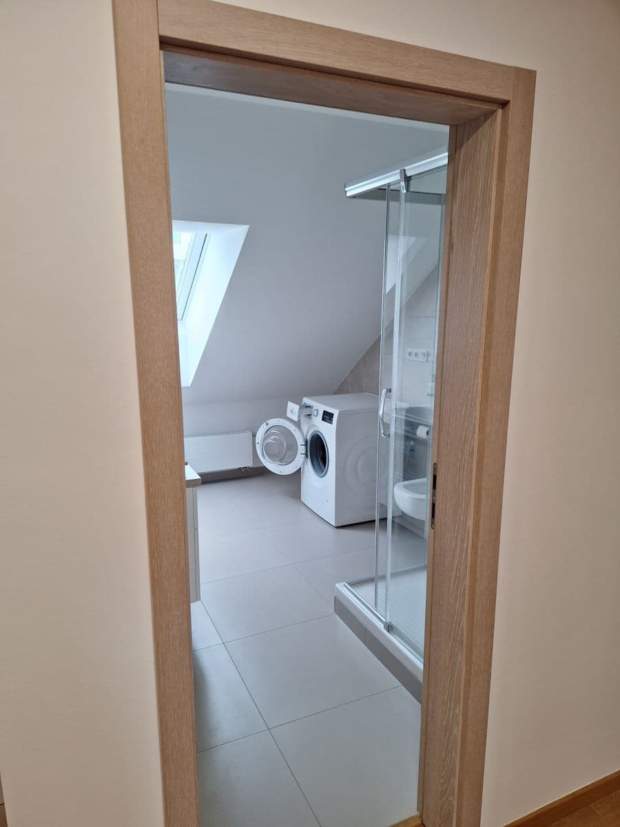 1 bedroom with open-plan kitchen flat to rent, 72 m², Rektorská, Prague, Prague 1 bedroom with open-plan kitchen flat to rent, 72 m², Rektorská, Prague, Prague