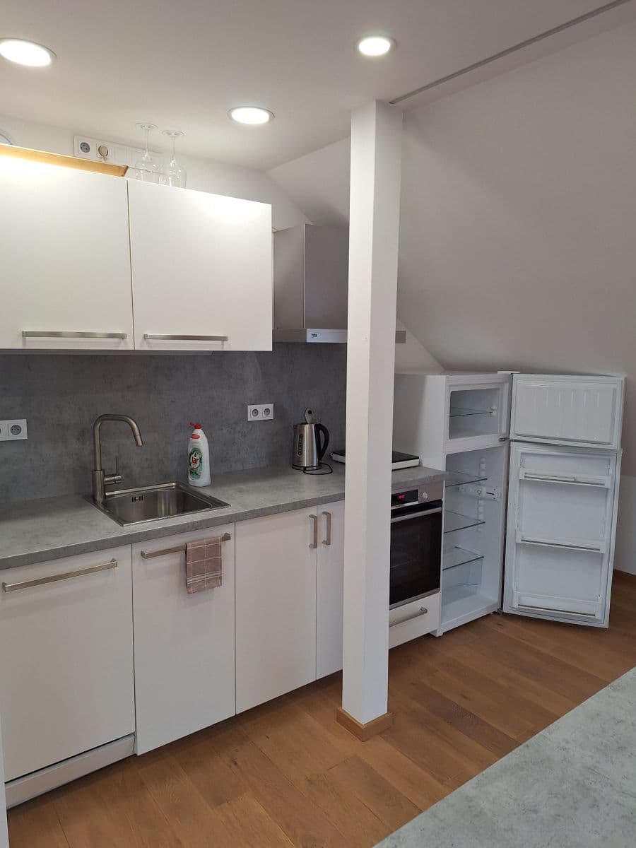 1 bedroom with open-plan kitchen flat to rent, 72 m², Rektorská, Prague, Prague 1 bedroom with open-plan kitchen flat to rent, 72 m², Rektorská, Prague, Prague