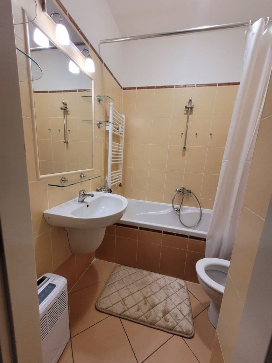 1 bedroom with open-plan kitchen flat to rent, 56 m², Spořická, Prague, Prague 1 bedroom with open-plan kitchen flat to rent, 56 m², Spořická, Prague, Prague