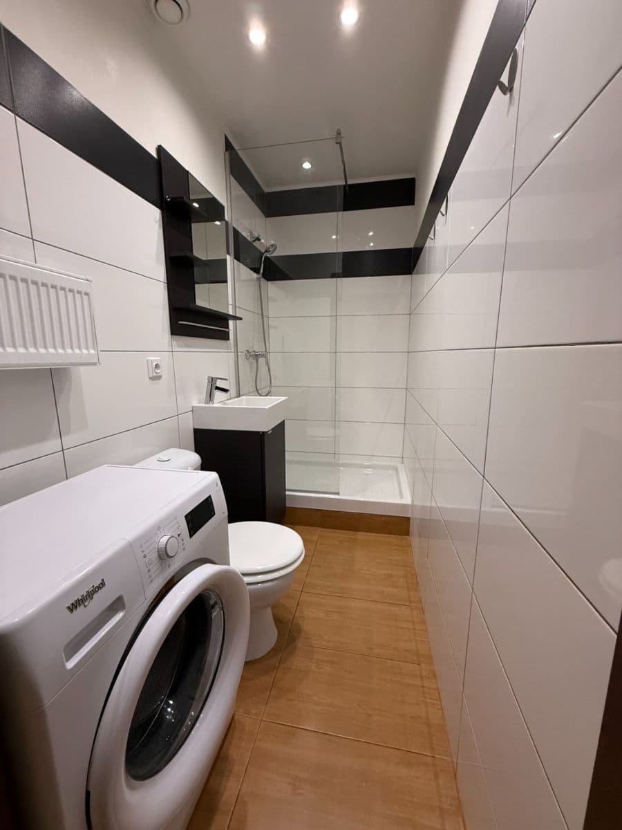 1 bedroom with open-plan kitchen flat to rent, 40 m², Francouzská, Prague, Prague 1 bedroom with open-plan kitchen flat to rent, 40 m², Francouzská, Prague, Prague