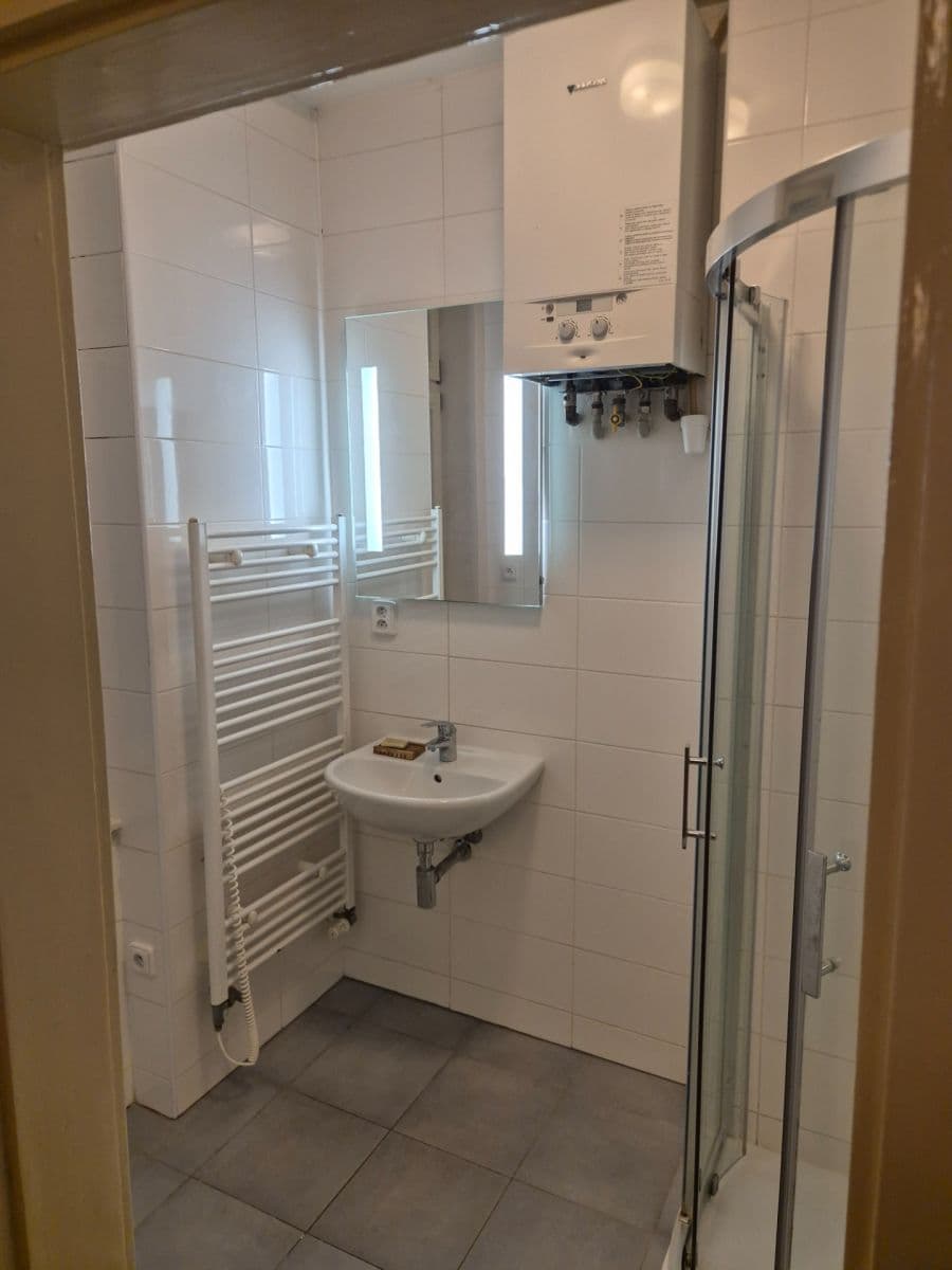 1 bedroom with open-plan kitchen flat to rent, 48 m², Čajkovského, Prague, Prague 1 bedroom with open-plan kitchen flat to rent, 48 m², Čajkovského, Prague, Prague