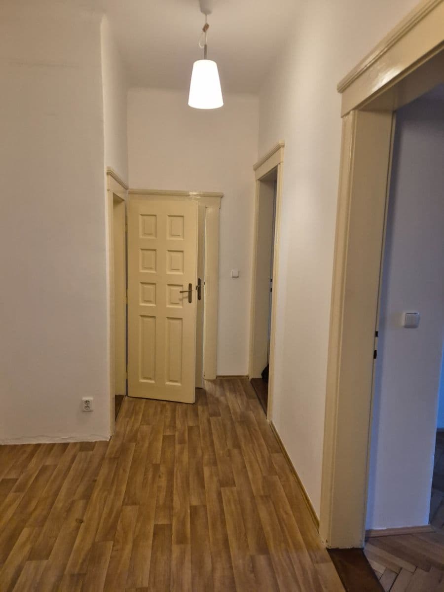 1 bedroom with open-plan kitchen flat to rent, 48 m², Čajkovského, Prague, Prague 1 bedroom with open-plan kitchen flat to rent, 48 m², Čajkovského, Prague, Prague