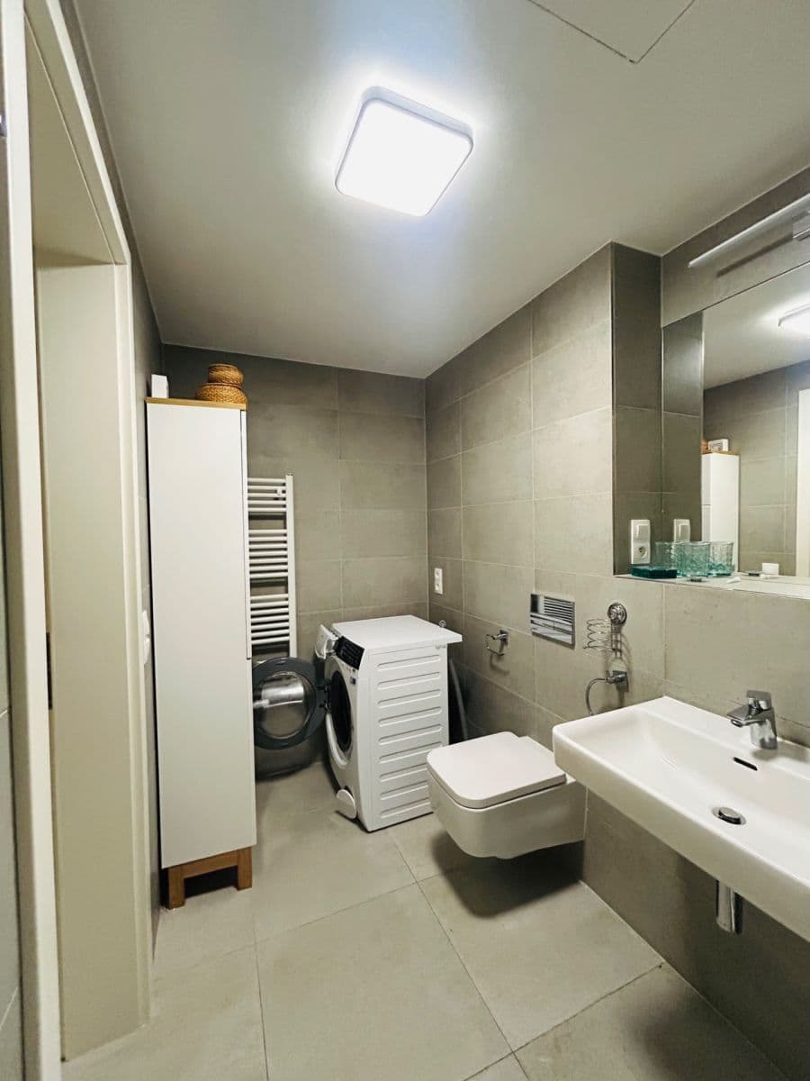 1 bedroom with open-plan kitchen flat to rent, 54 m², Naskové, Prague, Prague 1 bedroom with open-plan kitchen flat to rent, 54 m², Naskové, Prague, Prague