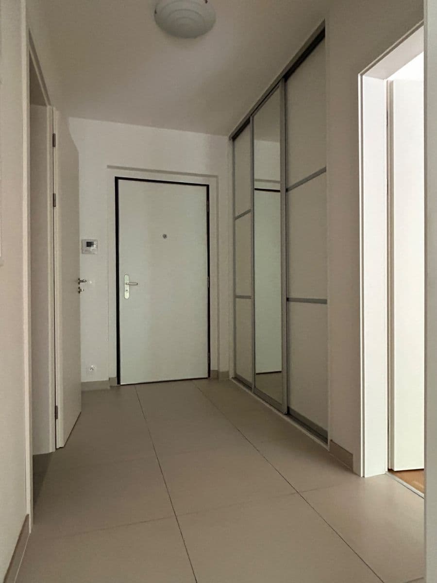 1 bedroom with open-plan kitchen flat to rent, 54 m², Naskové, Prague, Prague 1 bedroom with open-plan kitchen flat to rent, 54 m², Naskové, Prague, Prague