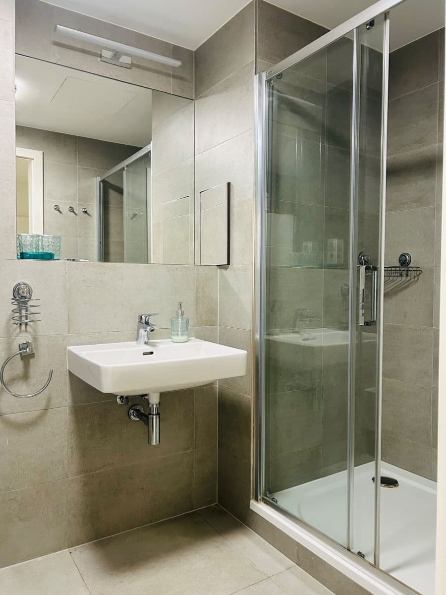 1 bedroom with open-plan kitchen flat to rent, 54 m², Naskové, Prague, Prague 1 bedroom with open-plan kitchen flat to rent, 54 m², Naskové, Prague, Prague