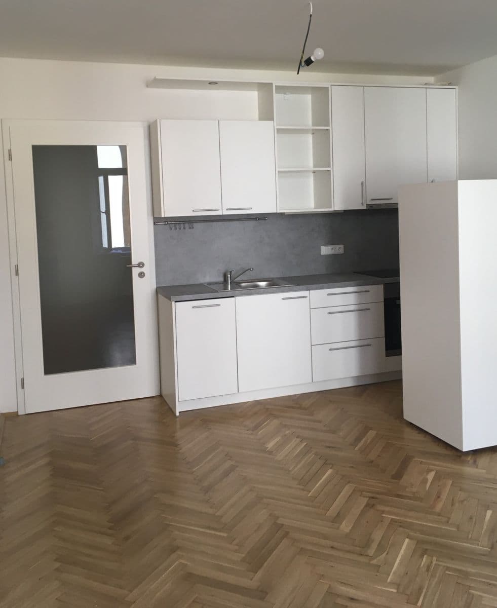1 bedroom with open-plan kitchen flat to rent, 48 m², Čechova, Prague, Prague 1 bedroom with open-plan kitchen flat to rent, 48 m², Čechova, Prague, Prague
