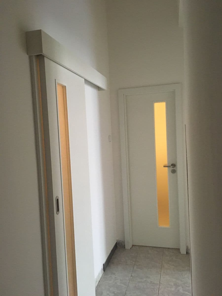1 bedroom with open-plan kitchen flat to rent, 48 m², Čechova, Prague, Prague 1 bedroom with open-plan kitchen flat to rent, 48 m², Čechova, Prague, Prague