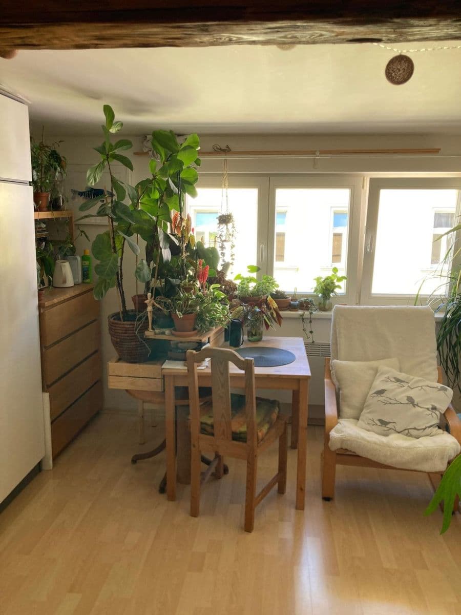 Studio flat to rent, 20 m², Nad sokolovnou, Prague, Prague Studio flat to rent, 20 m², Nad sokolovnou, Prague, Prague