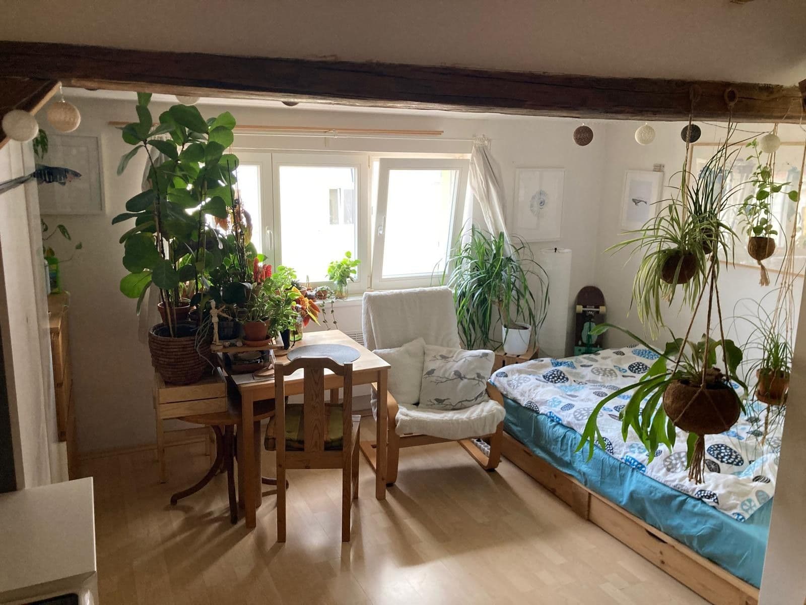 Studio flat to rent, 20 m², Nad sokolovnou, Prague, Prague Studio flat to rent, 20 m², Nad sokolovnou, Prague, Prague