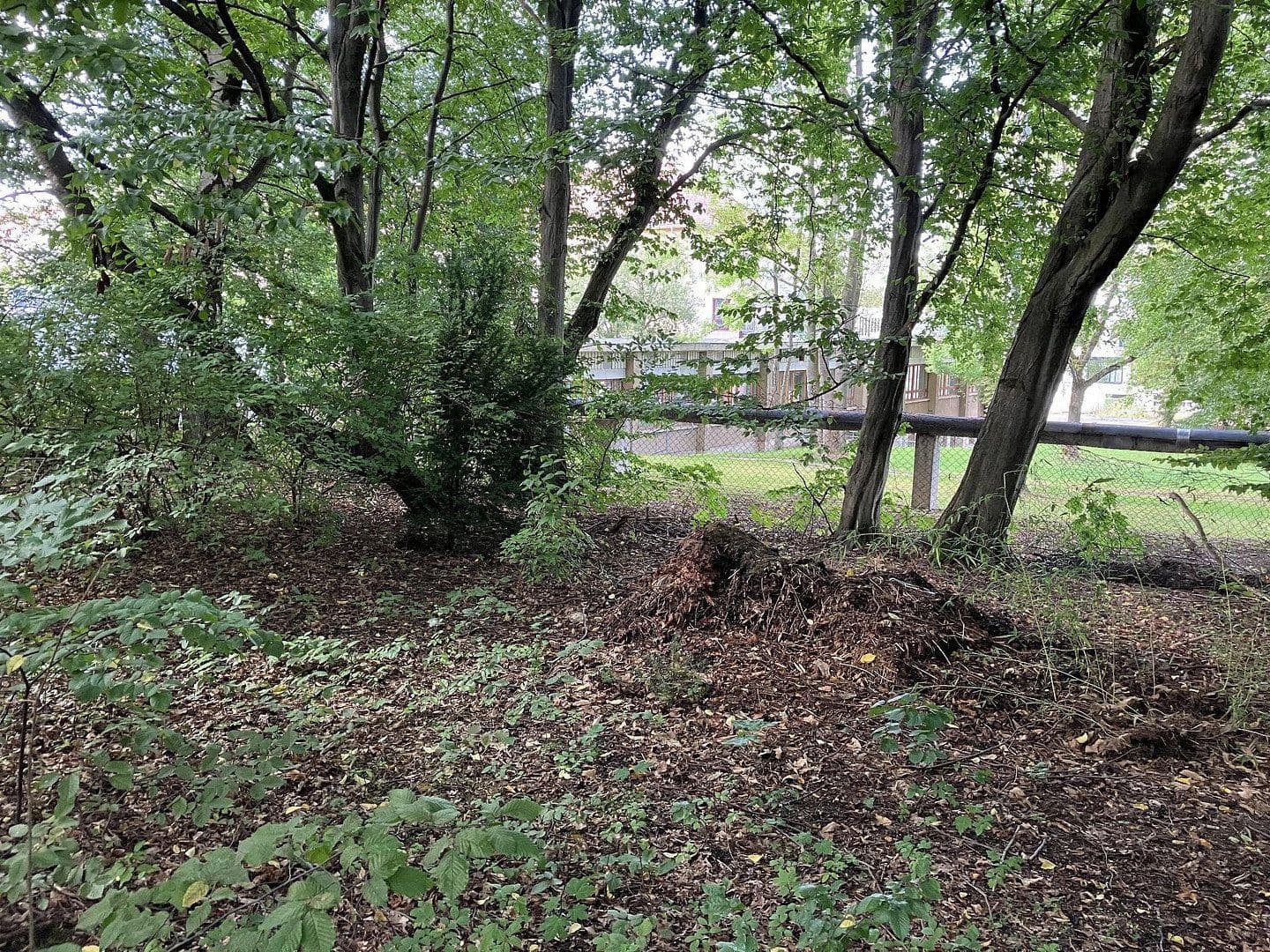 plot for sale, 4,870 m², Hainichener Straße, Freiberg, Saxony plot for sale, 4,870 m², Hainichener Straße, Freiberg, Saxony