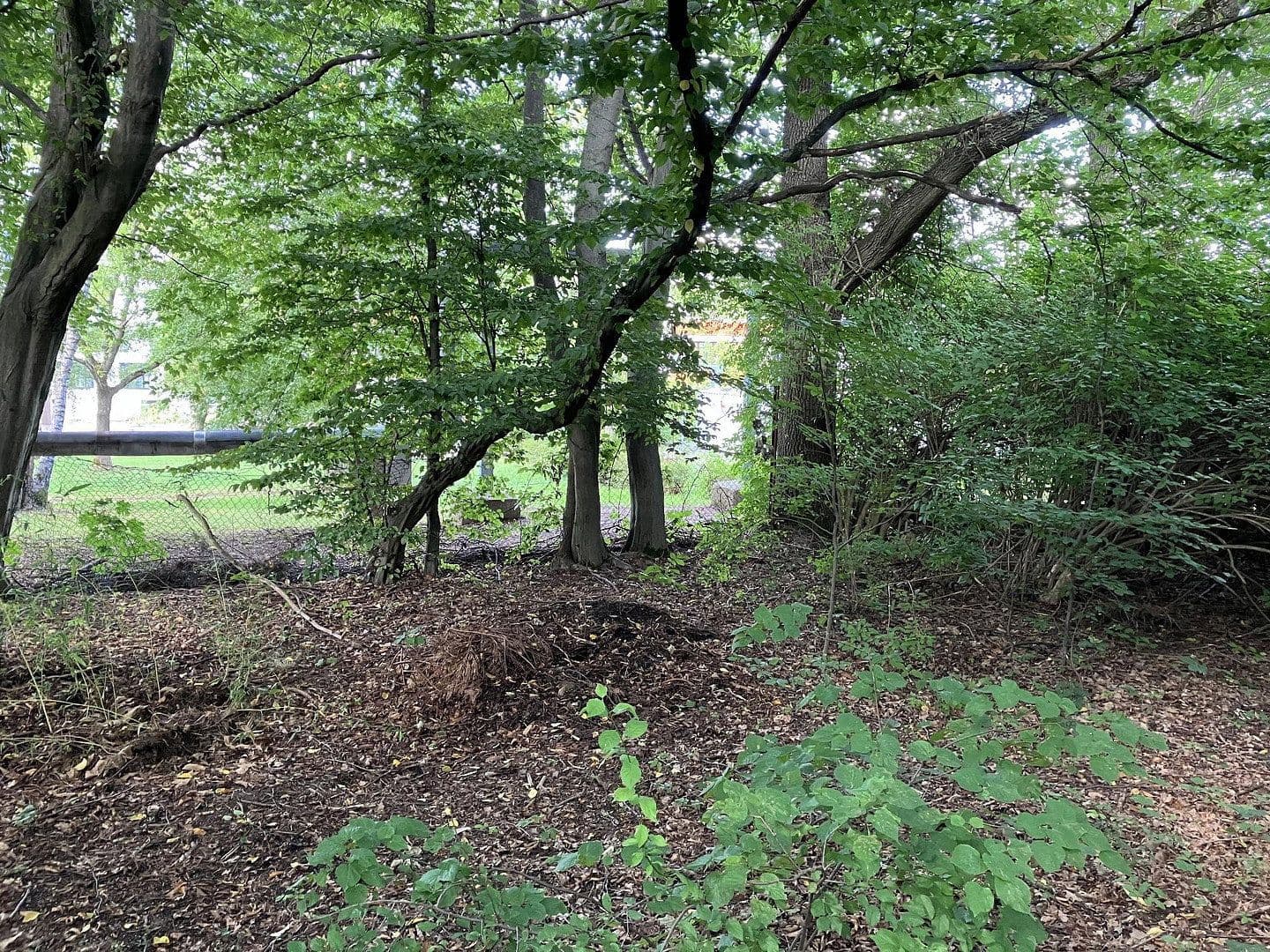 plot for sale, 4,870 m², Hainichener Straße, Freiberg, Saxony plot for sale, 4,870 m², Hainichener Straße, Freiberg, Saxony