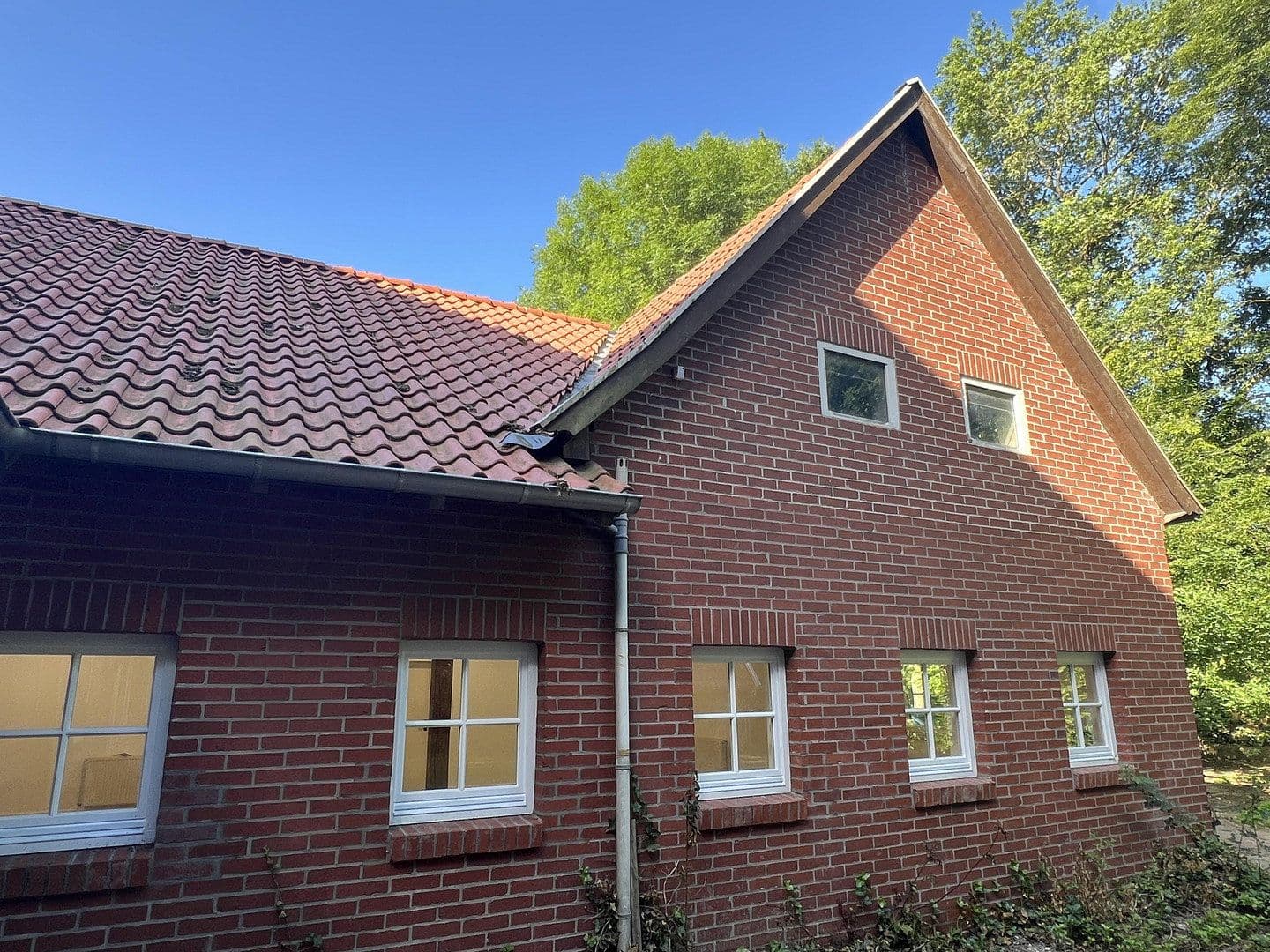 office to rent, 100 m², Badbergen, Lower Saxony office to rent, 100 m², Badbergen, Lower Saxony