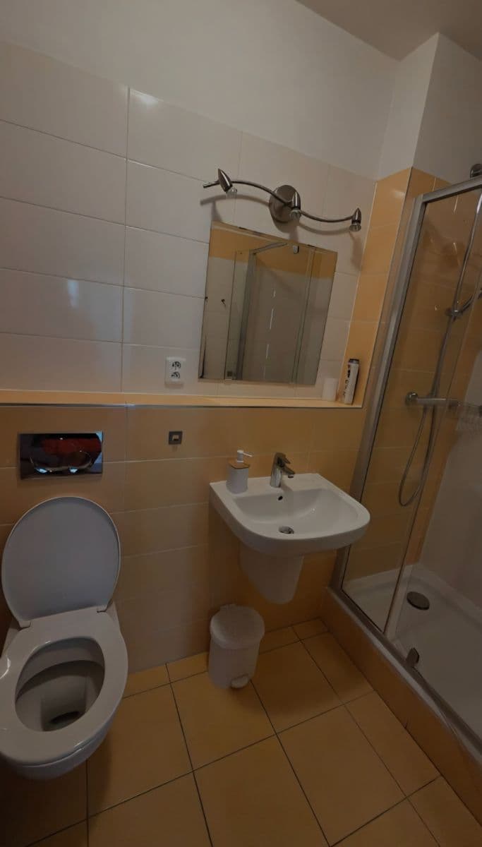 1 bedroom with open-plan kitchen flat to rent, 41 m², Lipovská, Prague, Prague 1 bedroom with open-plan kitchen flat to rent, 41 m², Lipovská, Prague, Prague