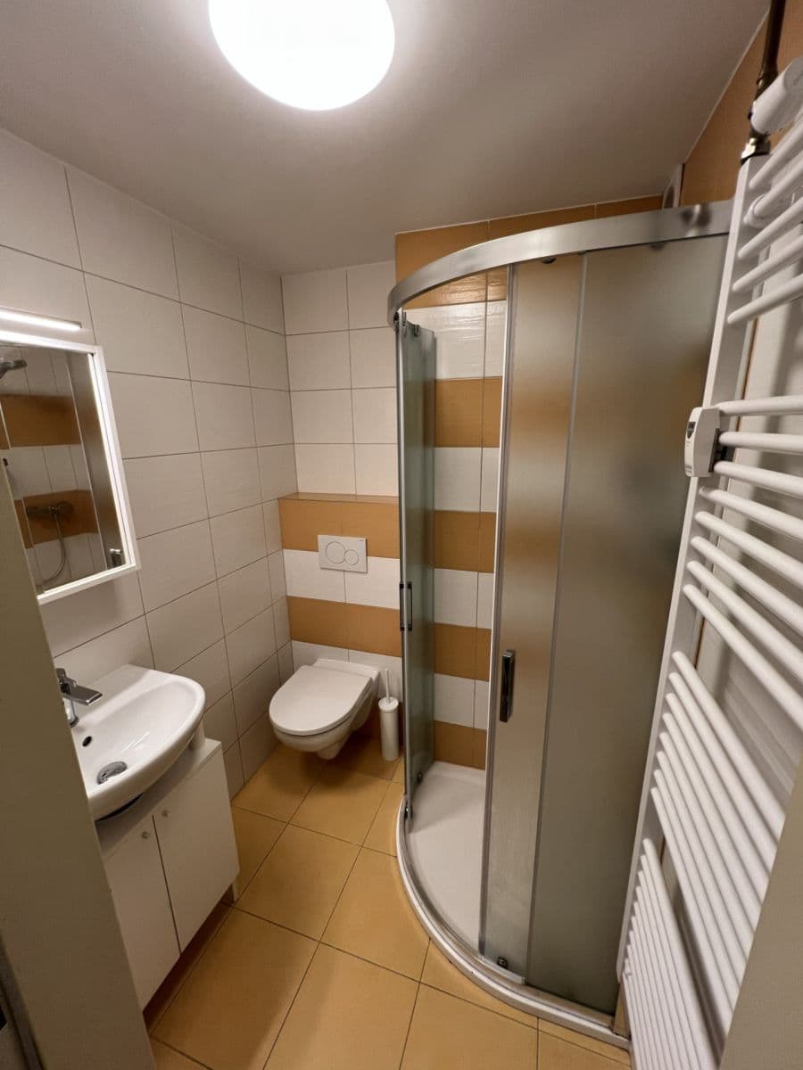 1 bedroom flat to rent, 32 m², Partyzánská, Plzeň, Plzeňský Region 1 bedroom flat to rent, 32 m², Partyzánská, Plzeň, Plzeňský Region