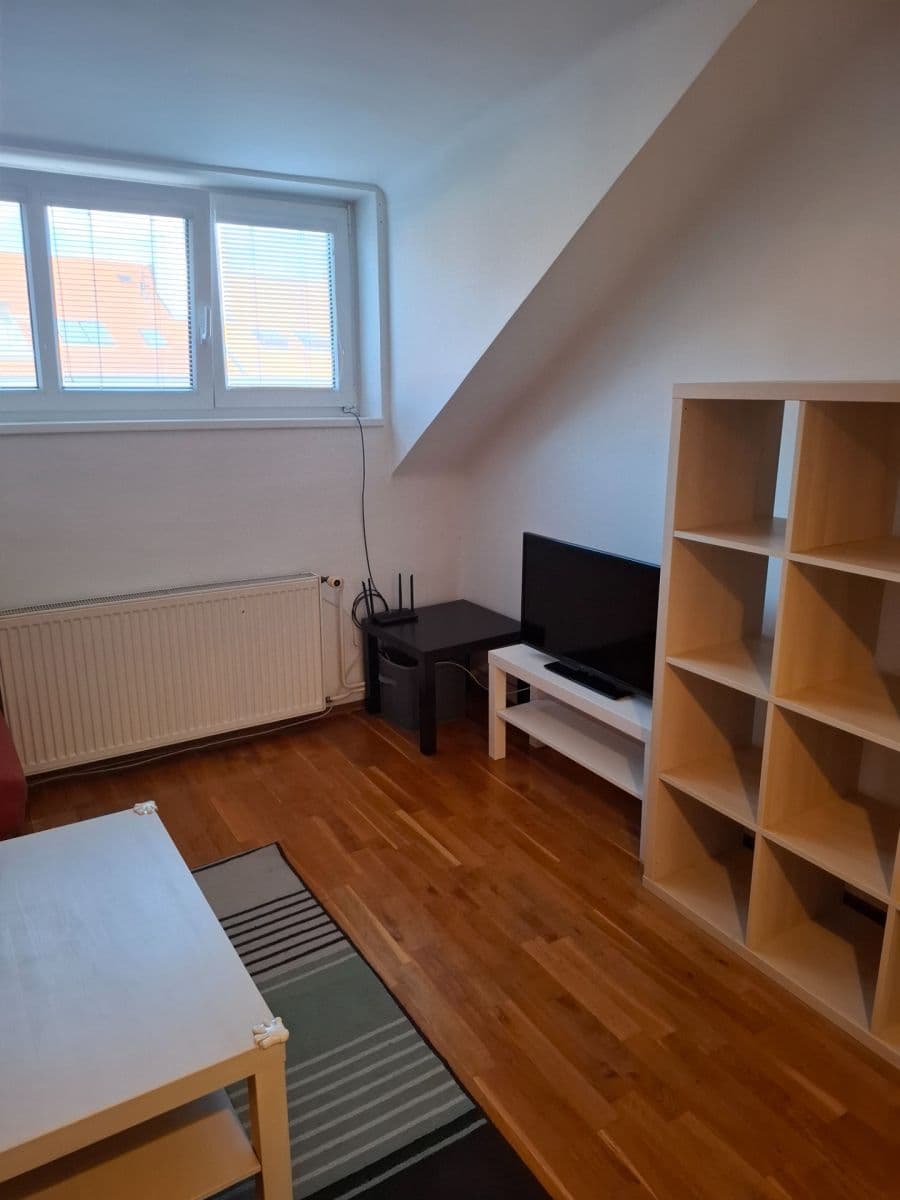 1 bedroom with open-plan kitchen flat to rent, 42 m², Na Mlejnku, Prague, Prague 1 bedroom with open-plan kitchen flat to rent, 42 m², Na Mlejnku, Prague, Prague