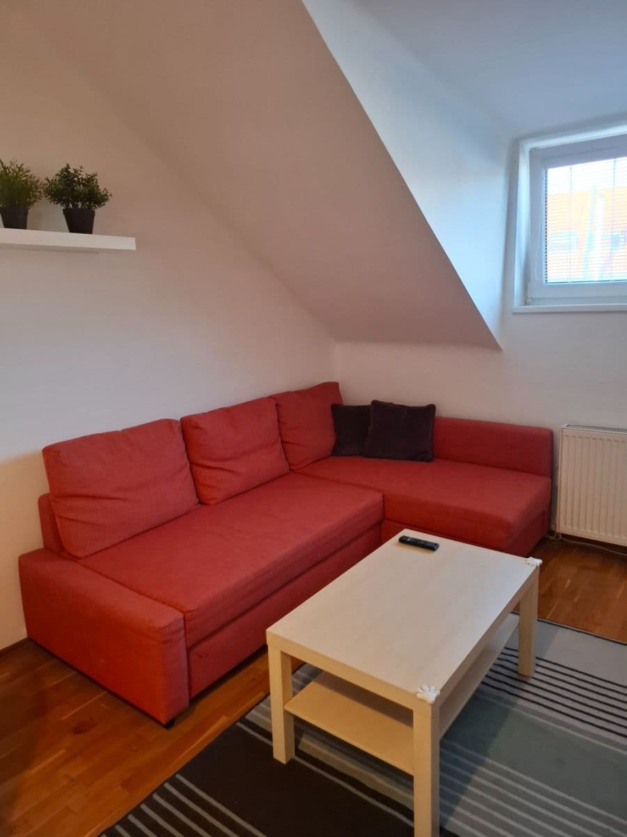 1 bedroom with open-plan kitchen flat to rent, 42 m², Na Mlejnku, Prague, Prague 1 bedroom with open-plan kitchen flat to rent, 42 m², Na Mlejnku, Prague, Prague