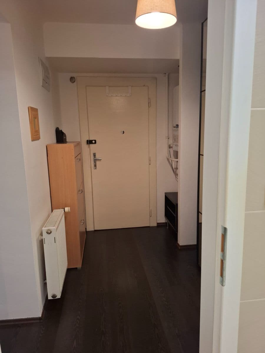 1 bedroom with open-plan kitchen flat to rent, 42 m², Na Mlejnku, Prague, Prague 1 bedroom with open-plan kitchen flat to rent, 42 m², Na Mlejnku, Prague, Prague