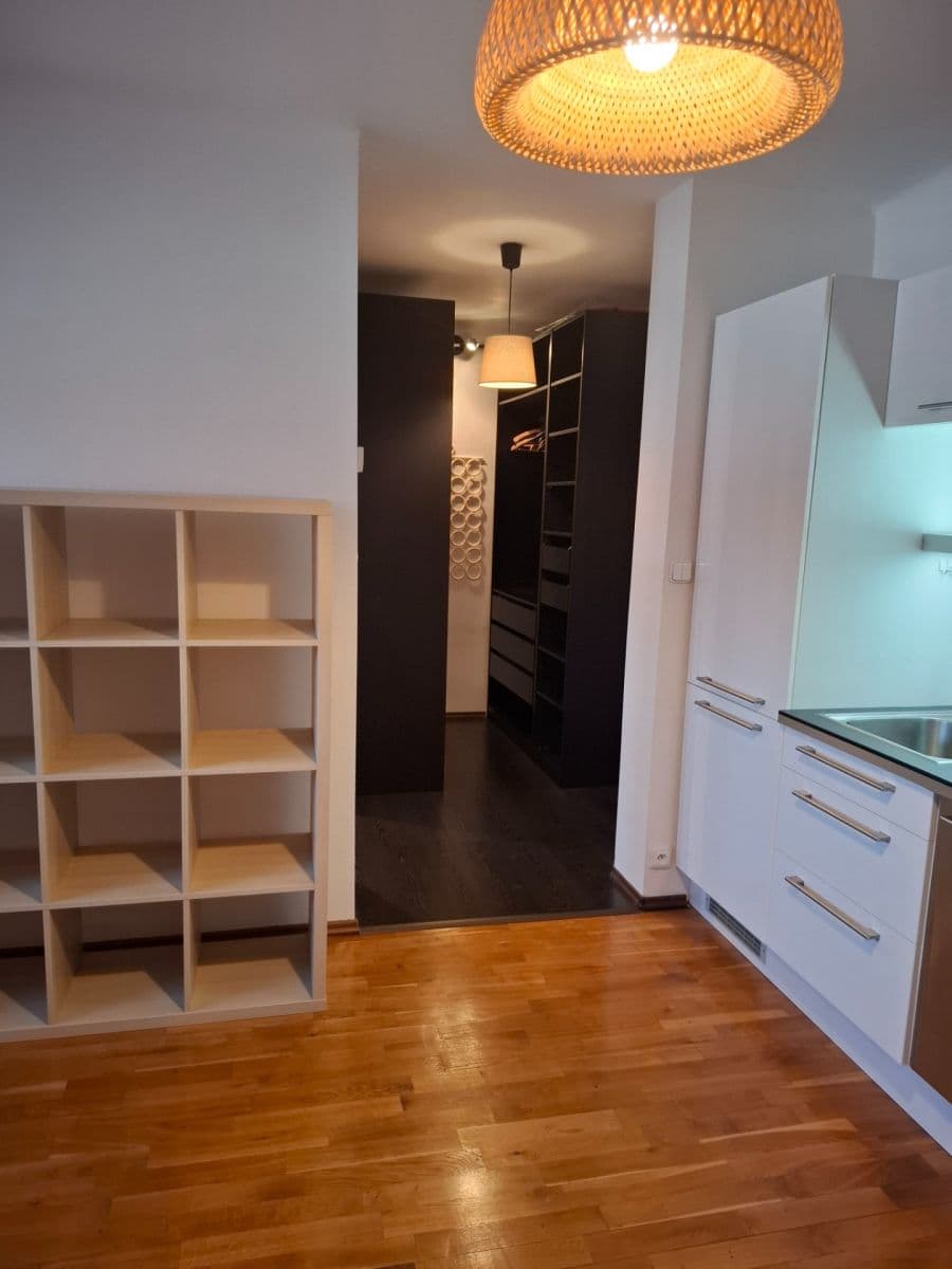 1 bedroom with open-plan kitchen flat to rent, 42 m², Na Mlejnku, Prague, Prague 1 bedroom with open-plan kitchen flat to rent, 42 m², Na Mlejnku, Prague, Prague