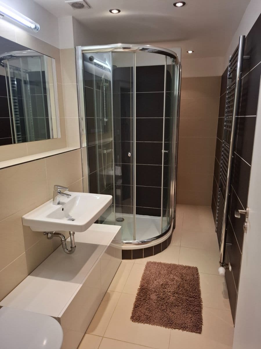 1 bedroom with open-plan kitchen flat to rent, 42 m², Na Mlejnku, Prague, Prague 1 bedroom with open-plan kitchen flat to rent, 42 m², Na Mlejnku, Prague, Prague