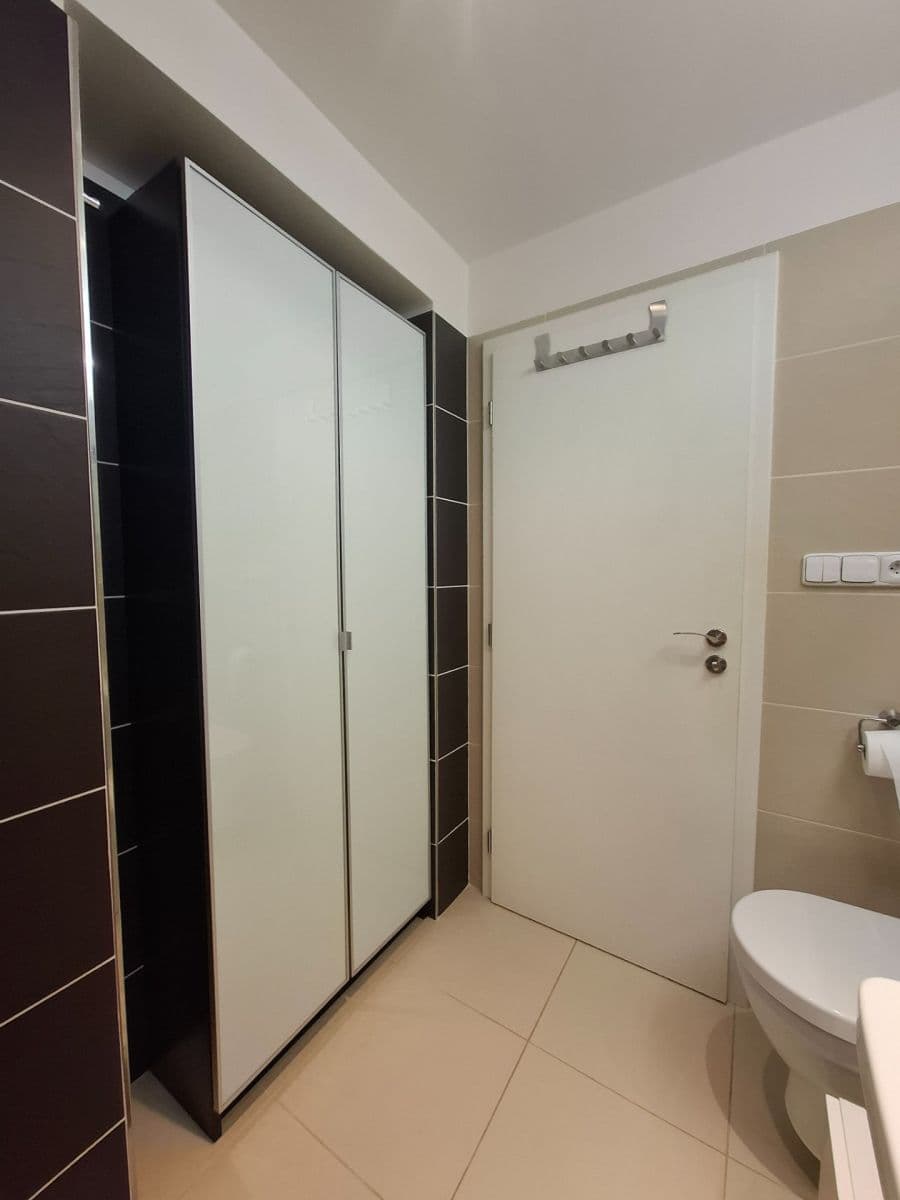1 bedroom with open-plan kitchen flat to rent, 42 m², Na Mlejnku, Prague, Prague 1 bedroom with open-plan kitchen flat to rent, 42 m², Na Mlejnku, Prague, Prague