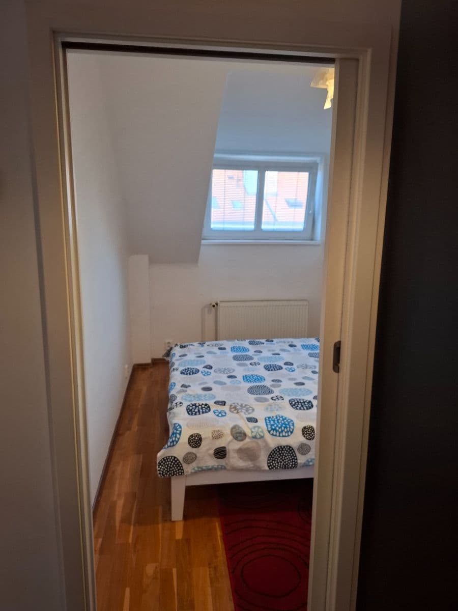1 bedroom with open-plan kitchen flat to rent, 42 m², Na Mlejnku, Prague, Prague 1 bedroom with open-plan kitchen flat to rent, 42 m², Na Mlejnku, Prague, Prague