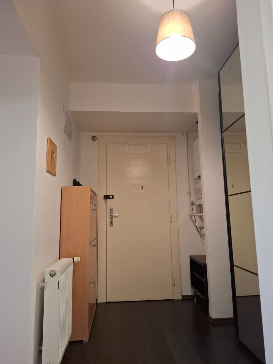 1 bedroom with open-plan kitchen flat to rent, 42 m², Na Mlejnku, Prague, Prague 1 bedroom with open-plan kitchen flat to rent, 42 m², Na Mlejnku, Prague, Prague