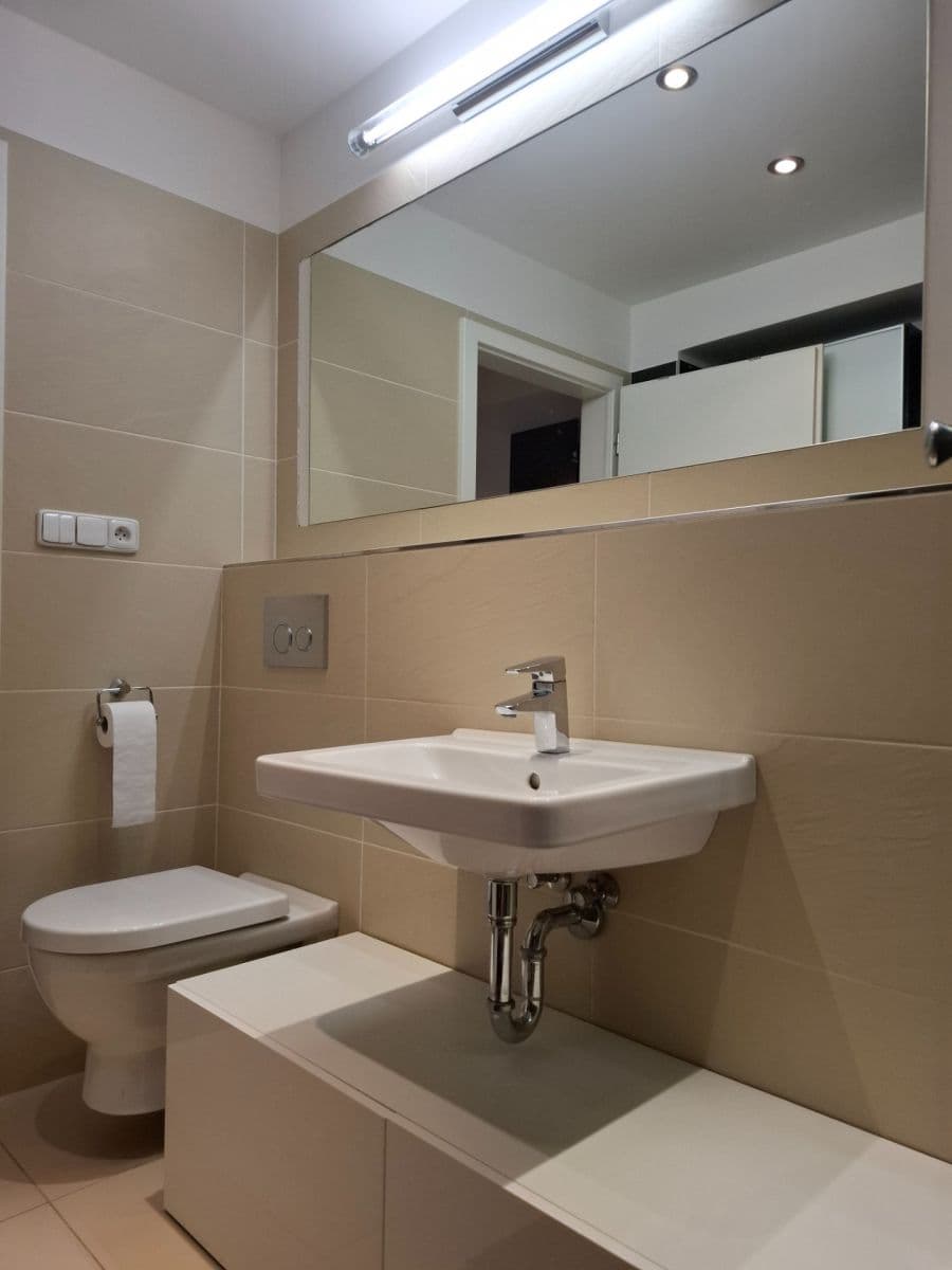 1 bedroom with open-plan kitchen flat to rent, 42 m², Na Mlejnku, Prague, Prague 1 bedroom with open-plan kitchen flat to rent, 42 m², Na Mlejnku, Prague, Prague