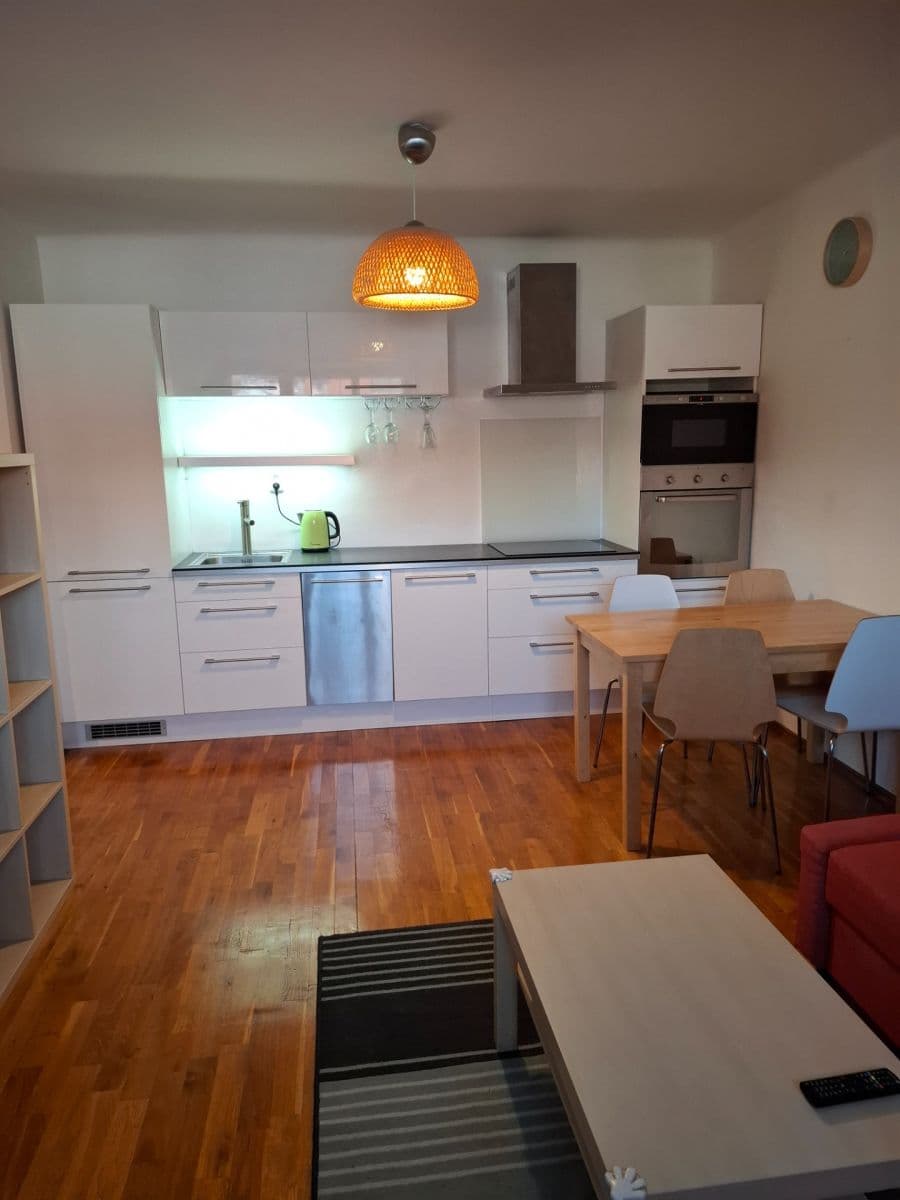 1 bedroom with open-plan kitchen flat to rent, 42 m², Na Mlejnku, Prague, Prague 1 bedroom with open-plan kitchen flat to rent, 42 m², Na Mlejnku, Prague, Prague