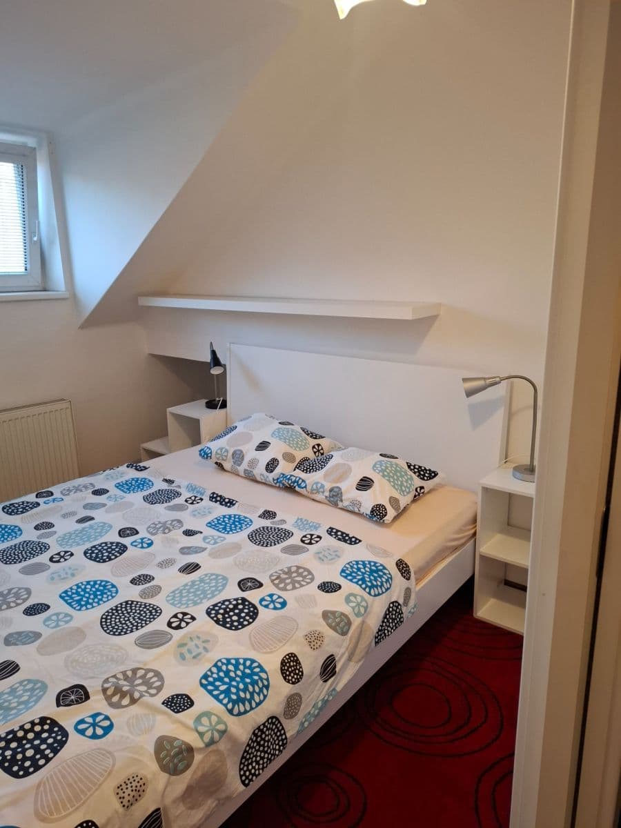 1 bedroom with open-plan kitchen flat to rent, 42 m², Na Mlejnku, Prague, Prague 1 bedroom with open-plan kitchen flat to rent, 42 m², Na Mlejnku, Prague, Prague