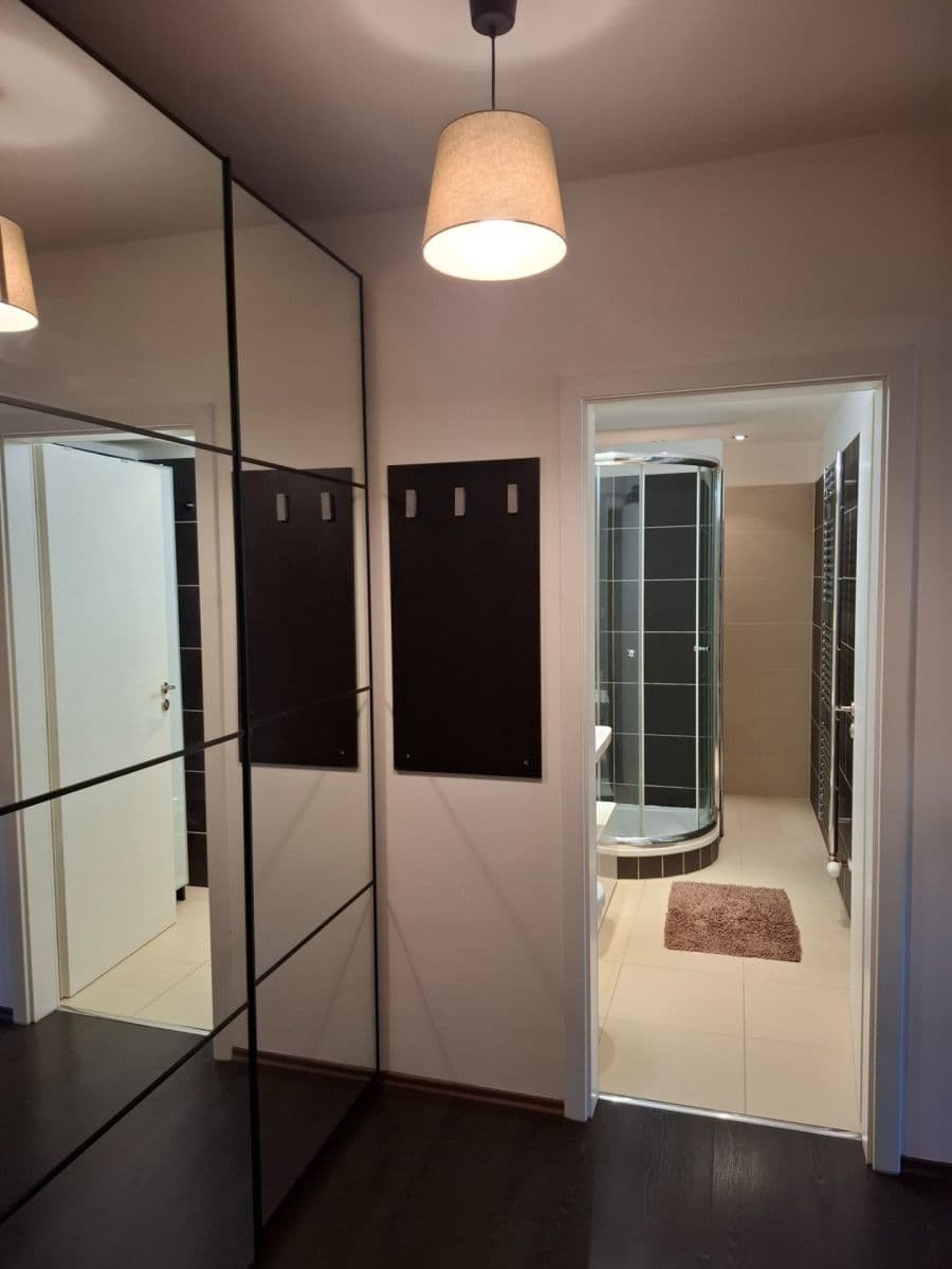 1 bedroom with open-plan kitchen flat to rent, 42 m², Na Mlejnku, Prague, Prague 1 bedroom with open-plan kitchen flat to rent, 42 m², Na Mlejnku, Prague, Prague