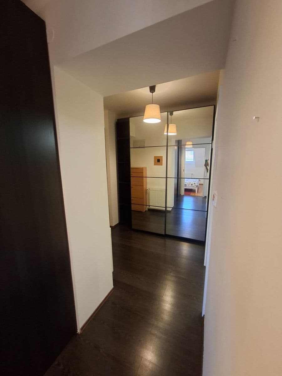 1 bedroom with open-plan kitchen flat to rent, 42 m², Na Mlejnku, Prague, Prague 1 bedroom with open-plan kitchen flat to rent, 42 m², Na Mlejnku, Prague, Prague