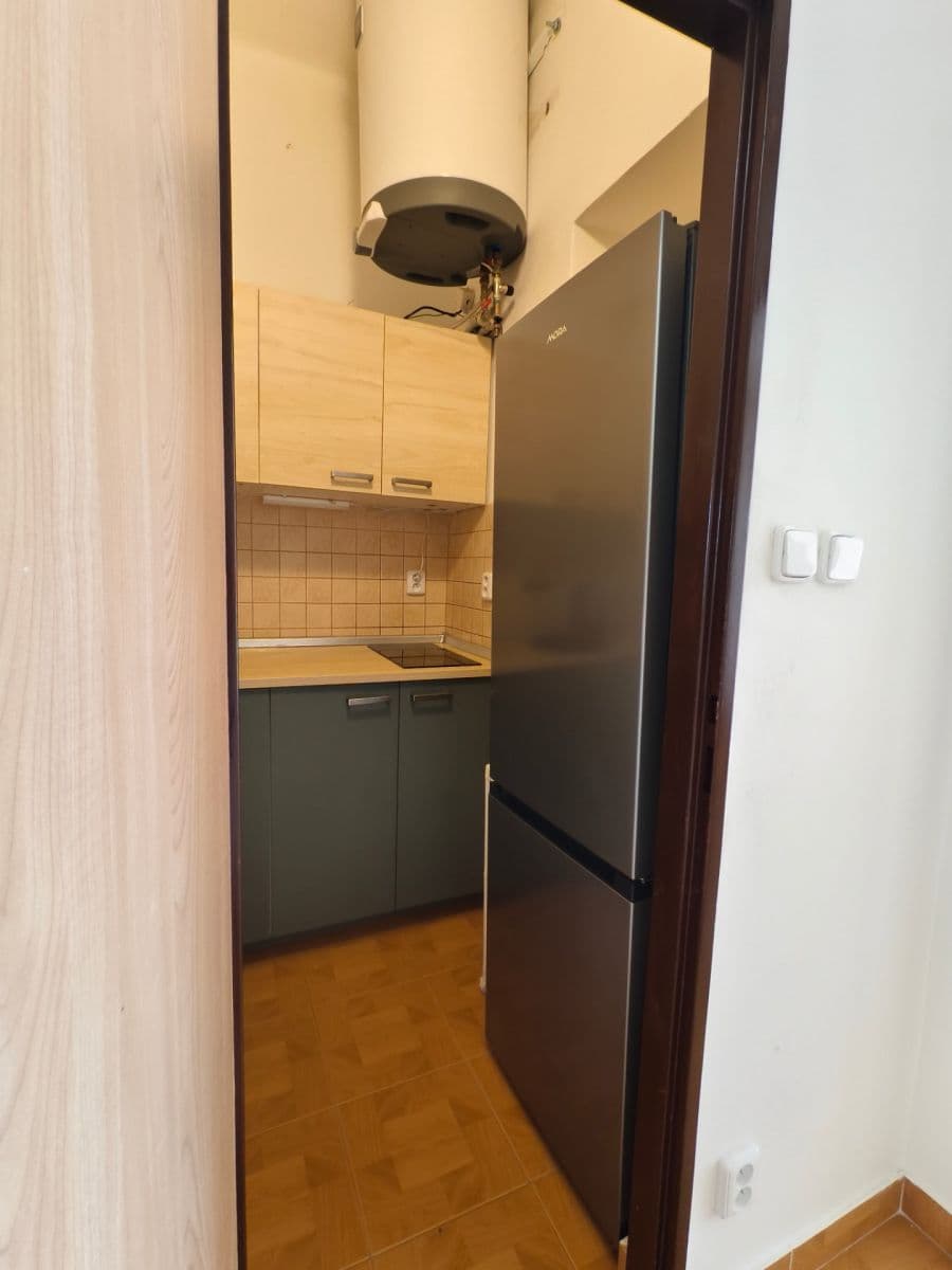 2 bedroom flat to rent, 40 m², Na Úlehli, Prague, Prague 2 bedroom flat to rent, 40 m², Na Úlehli, Prague, Prague