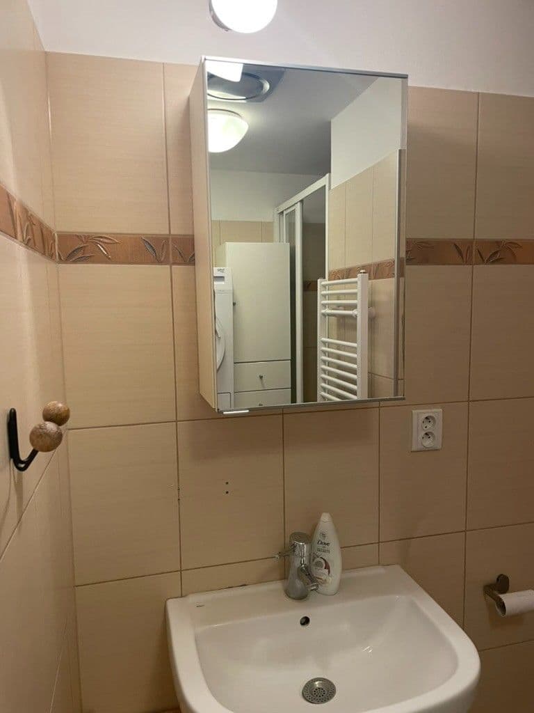 1 bedroom flat to rent, 40 m², Pod Stupni, Prague, Prague 1 bedroom flat to rent, 40 m², Pod Stupni, Prague, Prague