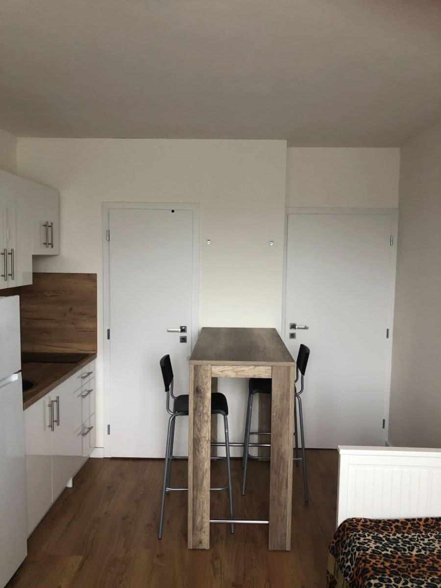 Studio flat to rent, 20 m², Vysočanská, Prague, Prague Studio flat to rent, 20 m², Vysočanská, Prague, Prague