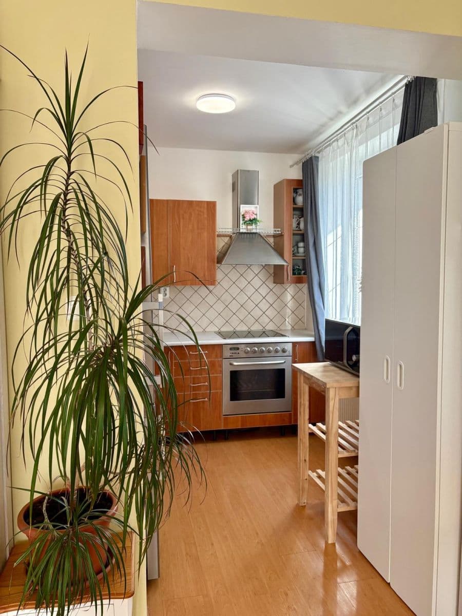 1 bedroom with open-plan kitchen flat for sale, 61 m², Slunečná, Černošice, Středočeský Region 1 bedroom with open-plan kitchen flat for sale, 61 m², Slunečná, Černošice, Středočeský Region