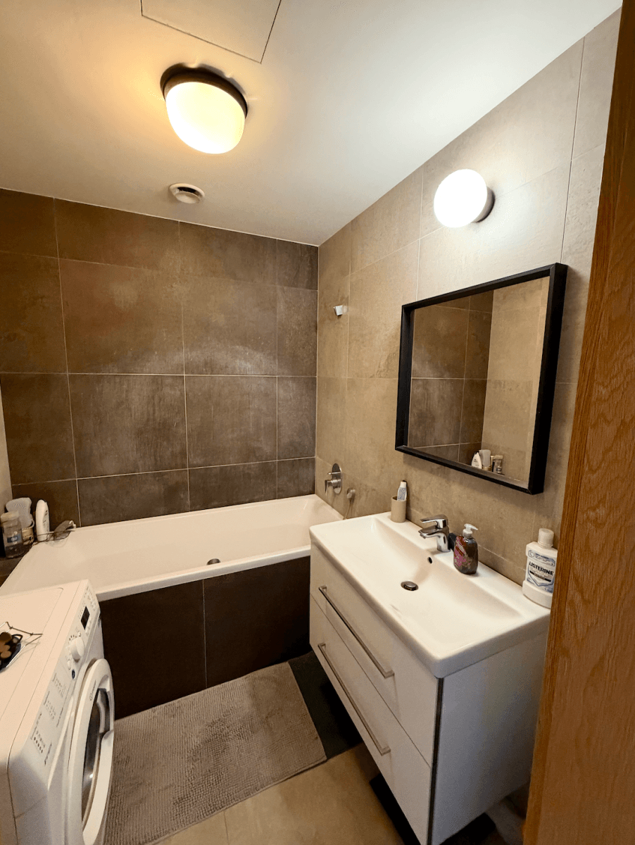 1 bedroom with open-plan kitchen flat to rent, 56 m², Dělnická, Prague, Prague 1 bedroom with open-plan kitchen flat to rent, 56 m², Dělnická, Prague, Prague