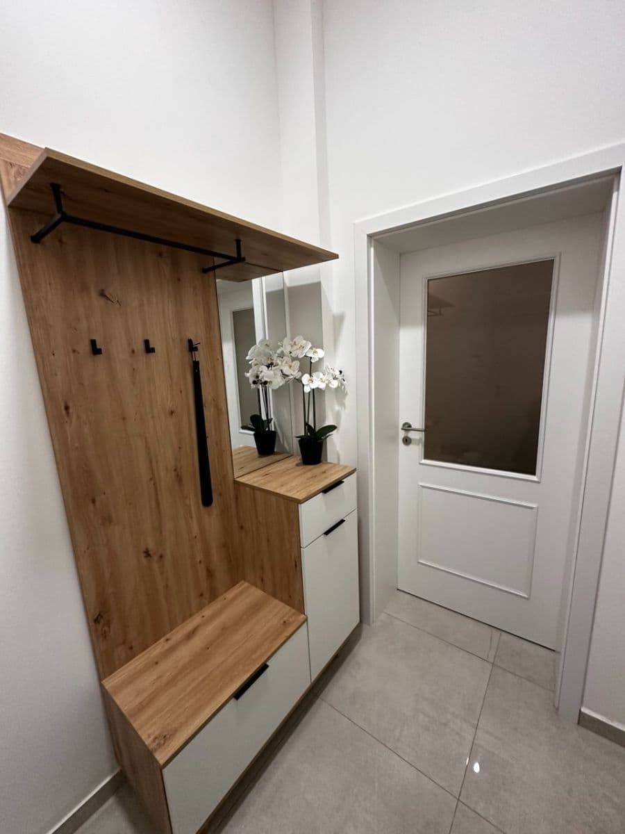 1 bedroom with open-plan kitchen flat for sale, 42 m², Petrská, Prague, Prague 1 bedroom with open-plan kitchen flat for sale, 42 m², Petrská, Prague, Prague