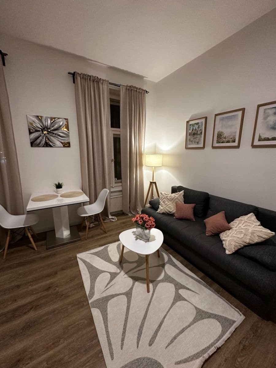 1 bedroom with open-plan kitchen flat for sale, 42 m², Petrská, Prague, Prague 1 bedroom with open-plan kitchen flat for sale, 42 m², Petrská, Prague, Prague