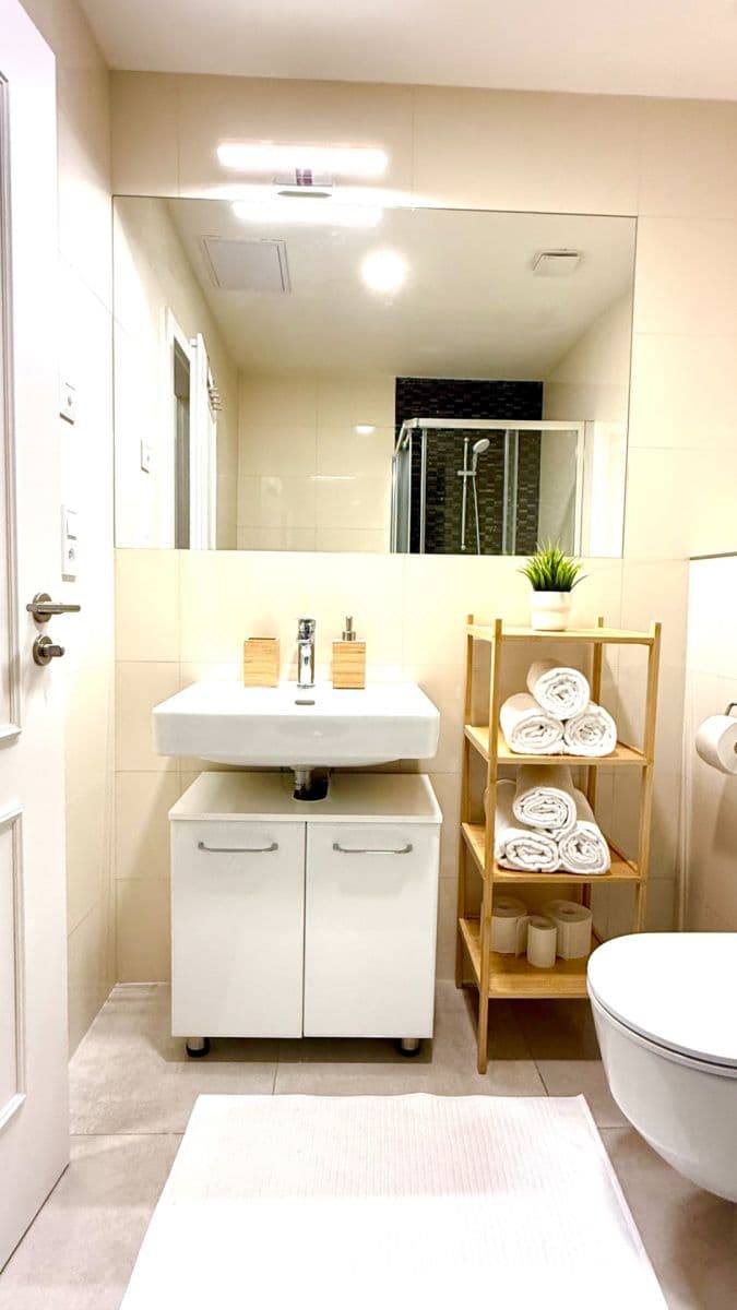 1 bedroom with open-plan kitchen flat for sale, 42 m², Petrská, Prague, Prague 1 bedroom with open-plan kitchen flat for sale, 42 m², Petrská, Prague, Prague