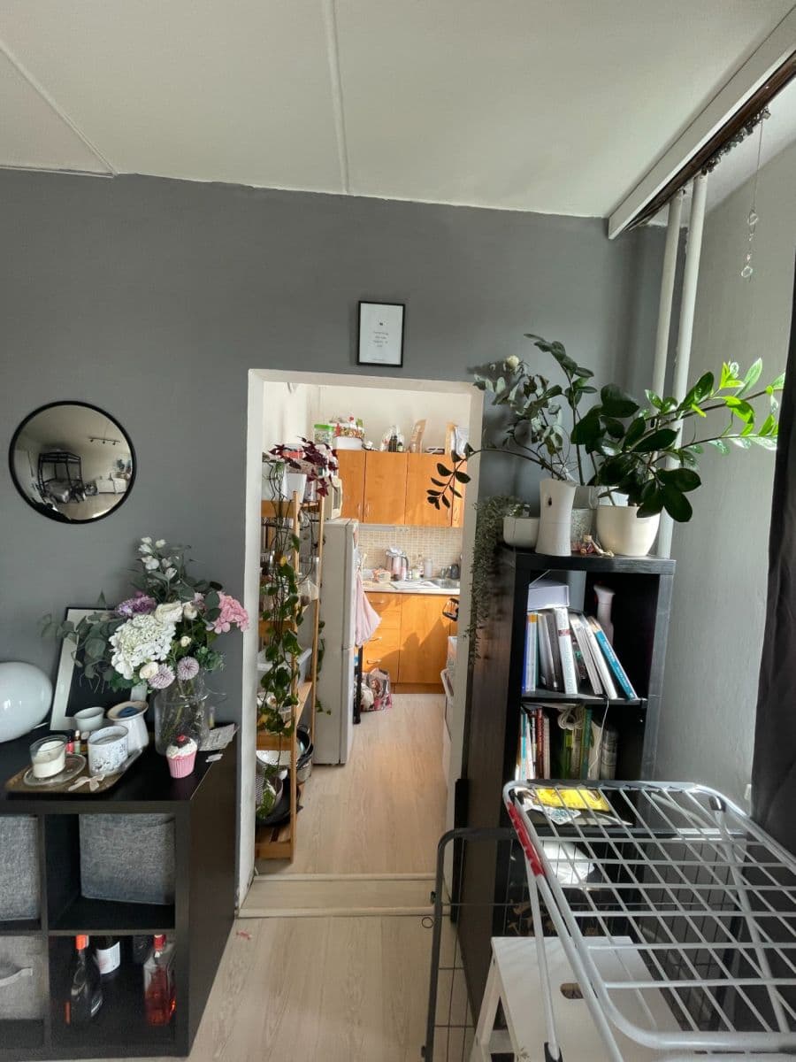 1 bedroom flat to rent, 30 m², Benkova, Prague, Prague 1 bedroom flat to rent, 30 m², Benkova, Prague, Prague