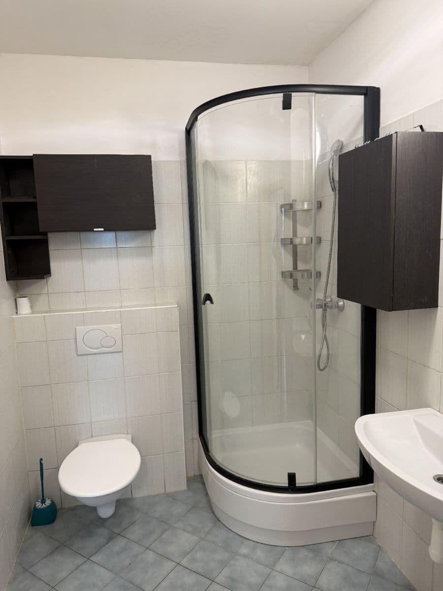 1 bedroom with open-plan kitchen flat to rent, 55 m², Cejl, Brno, Jihomoravský Region 1 bedroom with open-plan kitchen flat to rent, 55 m², Cejl, Brno, Jihomoravský Region