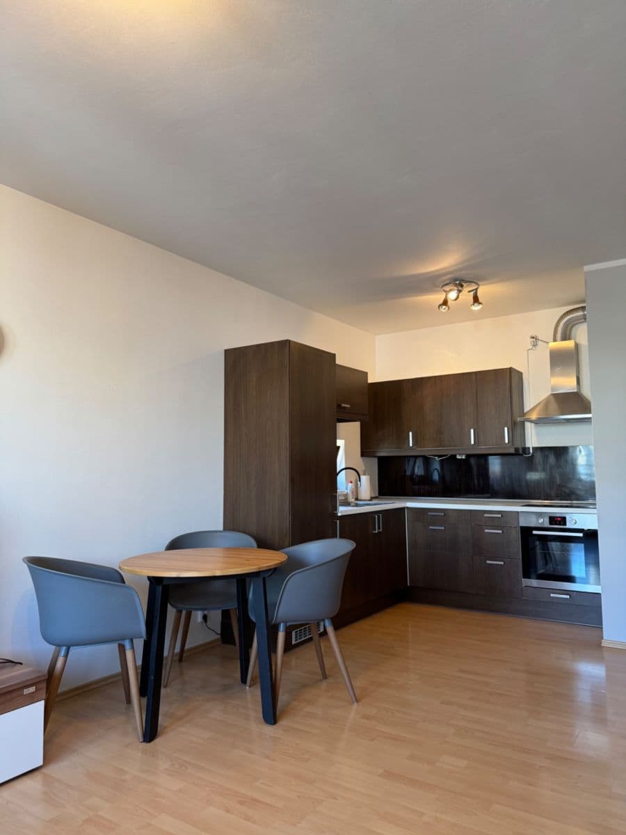 1 bedroom with open-plan kitchen flat to rent, 54 m², Vladycká, Prague, Prague 1 bedroom with open-plan kitchen flat to rent, 54 m², Vladycká, Prague, Prague
